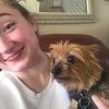 yorkie_girl